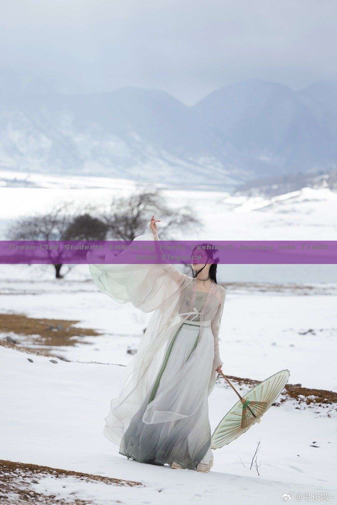 Green-Clad Students Embracing Hanfu Fashion:A Journey into Traditional Elegance Green-Clad Students Embracing Hanfu Fashion:A Journey into Traditional Elegance